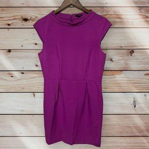 Ann Taylor Pink Shift Size 9